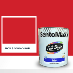Filli Boya Sentomaxx Boya NCS S 1080-Y90R