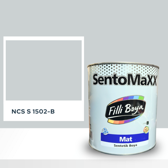 Filli Boya Sentomaxx Boya NCS S 1502-B