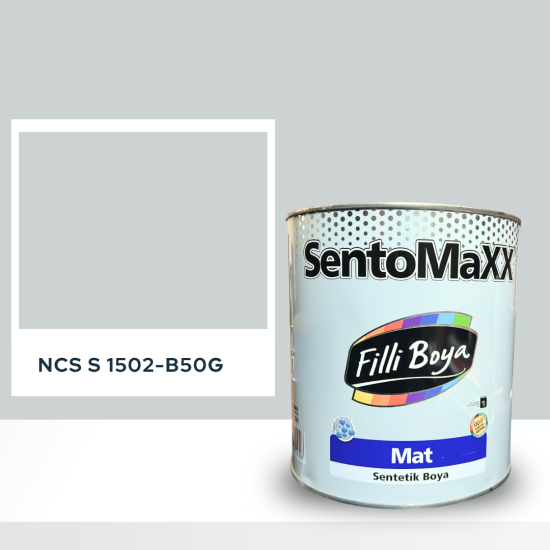 Filli Boya Sentomaxx Boya NCS S 1502-B50G