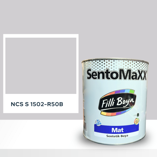 Filli Boya Sentomaxx Boya NCS S 1502-R50B