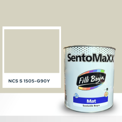 Filli Boya Sentomaxx Boya NCS S 1505-G90Y