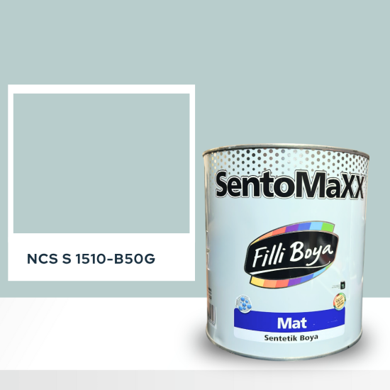 Filli Boya Sentomaxx Boya NCS S 1510-B50G