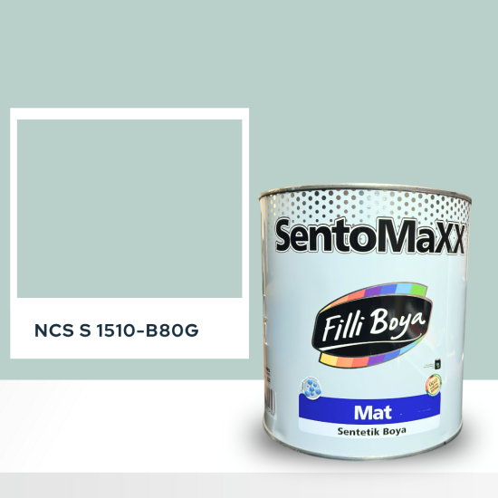 Filli Boya Sentomaxx Boya NCS S 1510-B80G