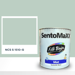 Filli Boya Sentomaxx Boya NCS S 1510-G