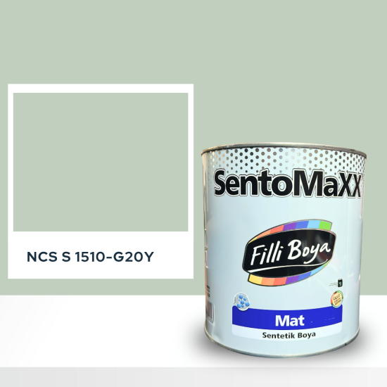 Filli Boya Sentomaxx Boya NCS S 1510-G20Y