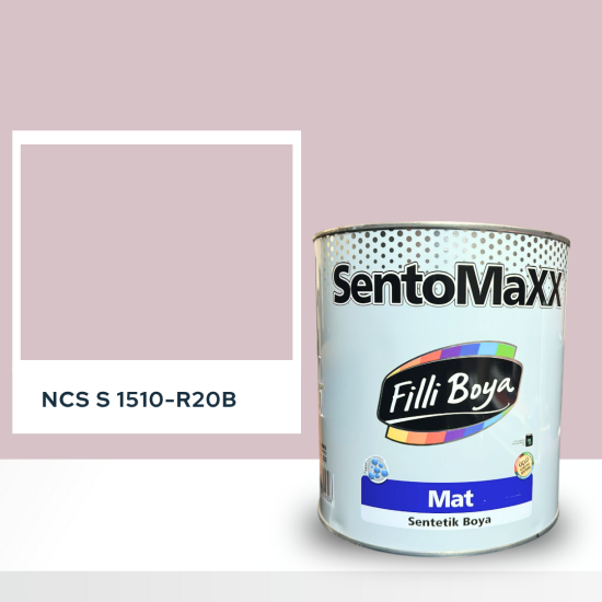 Filli Boya Sentomaxx Boya NCS S 1510-R20B
