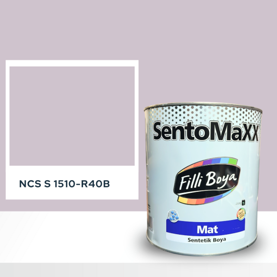 Filli Boya Sentomaxx Boya NCS S 1510-R40B