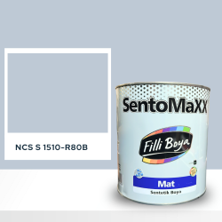 Filli Boya Sentomaxx Boya NCS S 1510-R80B
