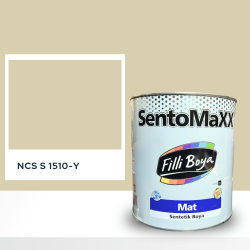 Filli Boya Sentomaxx Boya NCS S 1510-Y