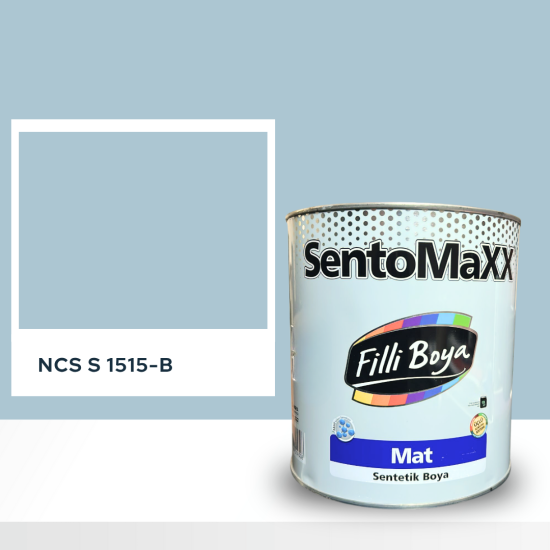 Filli Boya Sentomaxx Boya NCS S 1515-B