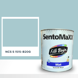 Filli Boya Sentomaxx Boya NCS S 1515-B20G