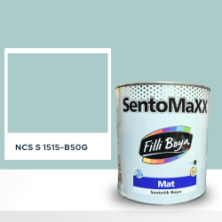 Filli Boya Sentomaxx Boya NCS S 1515-B50G