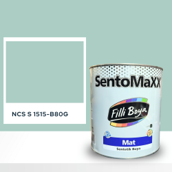 Filli Boya Sentomaxx Boya NCS S 1515-B80G