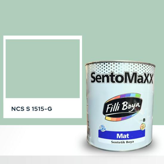 Filli Boya Sentomaxx Boya NCS S 1515-G
