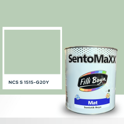Filli Boya Sentomaxx Boya NCS S 1515-G20Y
