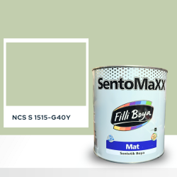 Filli Boya Sentomaxx Boya NCS S 1515-G40Y