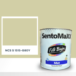 Filli Boya Sentomaxx Boya NCS S 1515-G80Y