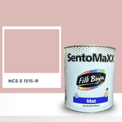 Filli Boya Sentomaxx Boya NCS S 1515-R