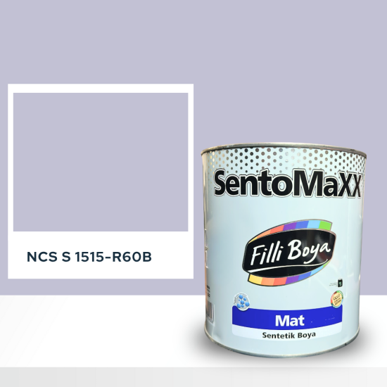 Filli Boya Sentomaxx Boya NCS S 1515-R60B