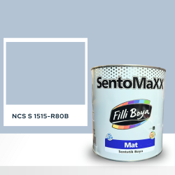 Filli Boya Sentomaxx Boya NCS S 1515-R80B
