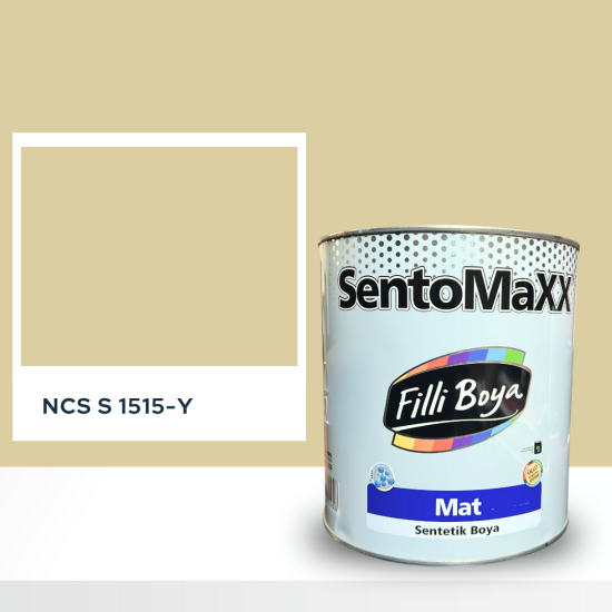 Filli Boya Sentomaxx Boya NCS S 1515-Y