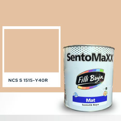 Filli Boya Sentomaxx Boya NCS S 1515-Y40R