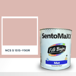 Filli Boya Sentomaxx Boya NCS S 1515-Y90R