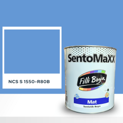 Filli Boya Sentomaxx Boya NCS S 1550-R80B