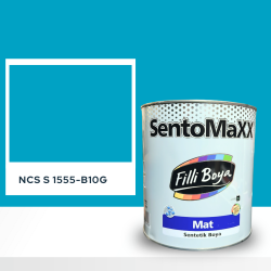 Filli Boya Sentomaxx Boya NCS S 1555-B10G