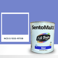 Filli Boya Sentomaxx Boya NCS S 1555-R70B