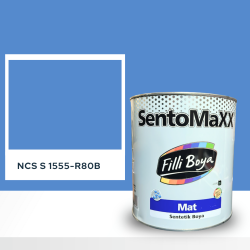 Filli Boya Sentomaxx Boya NCS S 1555-R80B