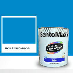 Filli Boya Sentomaxx Boya NCS S 1560-R90B