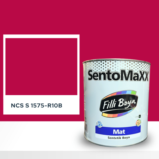 Filli Boya Sentomaxx Boya NCS S 1575-R10B Filli Boya Sentomaxx Boya NCS S 1575-R10B