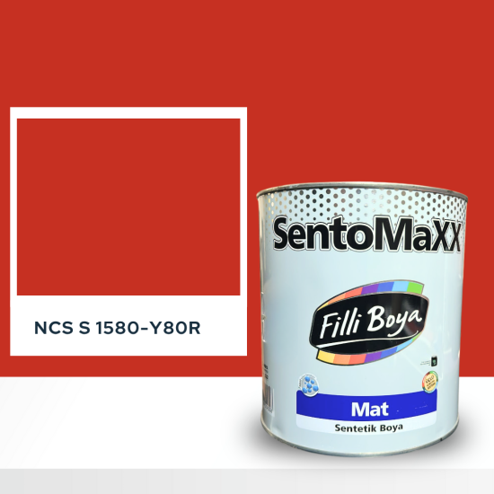Filli Boya Sentomaxx Boya NCS S 1580-Y80R