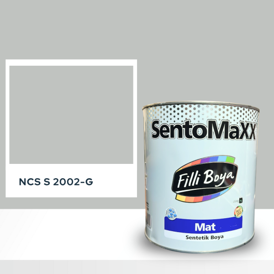 Filli Boya Sentomaxx Boya NCS S 2002-G