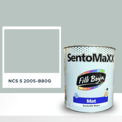 Filli Boya Sentomaxx Boya NCS S 2005-B80G