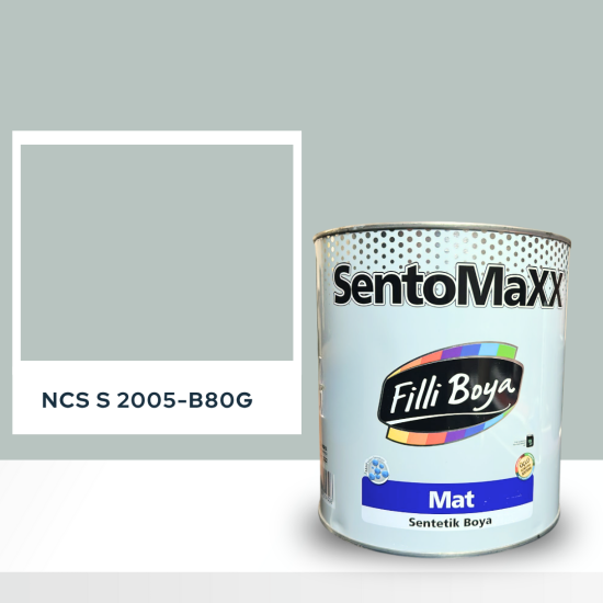 Filli Boya Sentomaxx Boya NCS S 2005-B80G