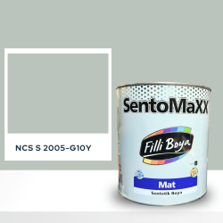 Filli Boya Sentomaxx Boya NCS S 2005-G10Y
