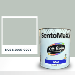 Filli Boya Sentomaxx Boya NCS S 2005-G20Y