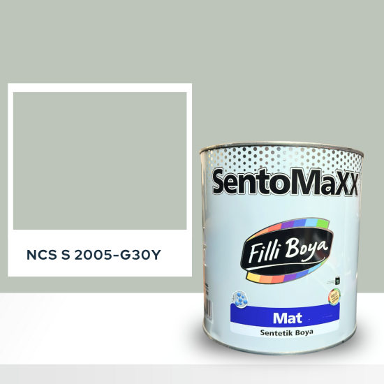 Filli Boya Sentomaxx Boya NCS S 2005-G30Y
