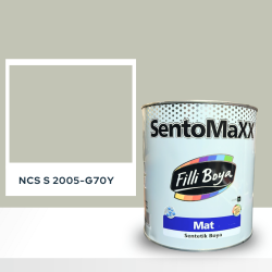 Filli Boya Sentomaxx Boya NCS S 2005-G70Y
