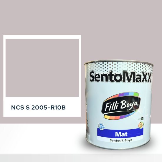 Filli Boya Sentomaxx Boya NCS S 2005-R10B