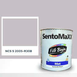 Filli Boya Sentomaxx Boya NCS S 2005-R30B