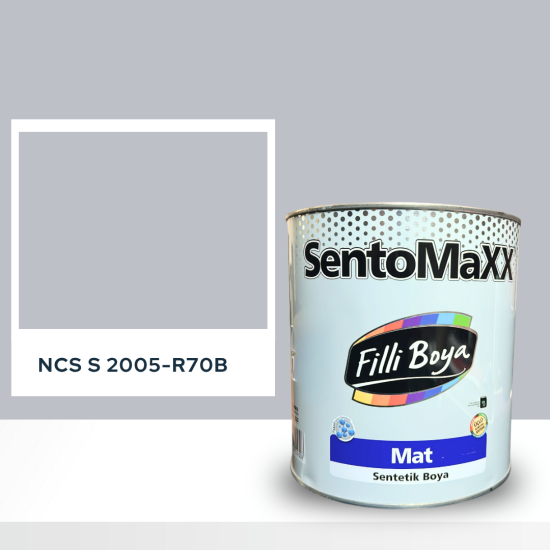 Filli Boya Sentomaxx Boya NCS S 2005-R70B