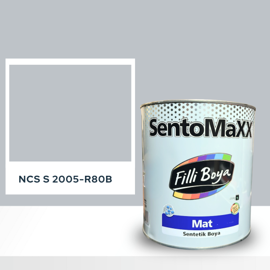 Filli Boya Sentomaxx Boya NCS S 2005-R80B