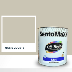 Filli Boya Sentomaxx Boya NCS S 2005-Y