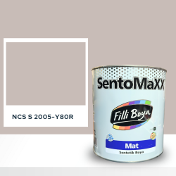 Filli Boya Sentomaxx Boya NCS S 2005-Y80R
