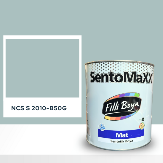 Filli Boya Sentomaxx Boya NCS S 2010-B50G