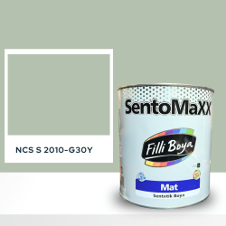 Filli Boya Sentomaxx Boya NCS S 2010-G30Y