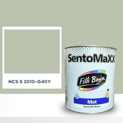 Filli Boya Sentomaxx Boya NCS S 2010-G40Y